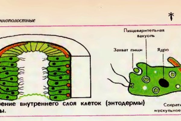 Кракен 2kraken biz