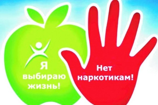 Кракен картель