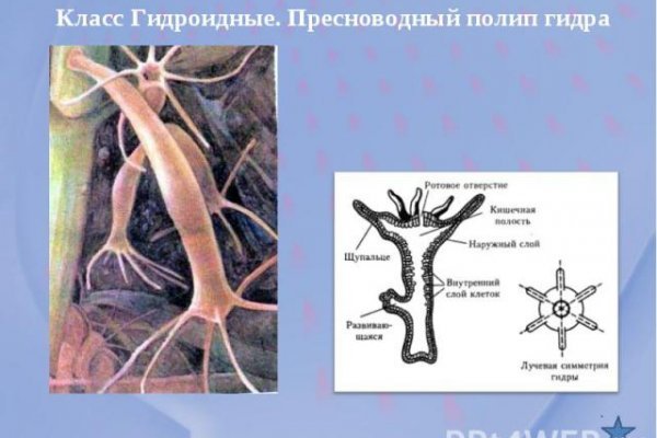 Пользователь не найден при входе на кракен